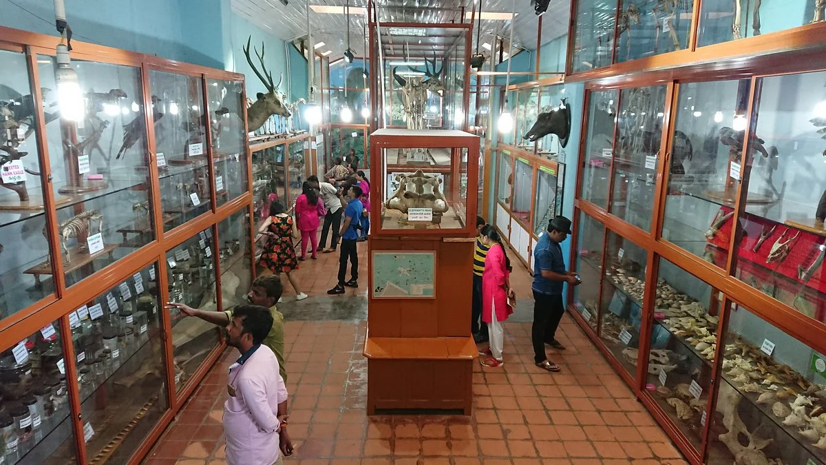 Shembaganur Museum of Natural History