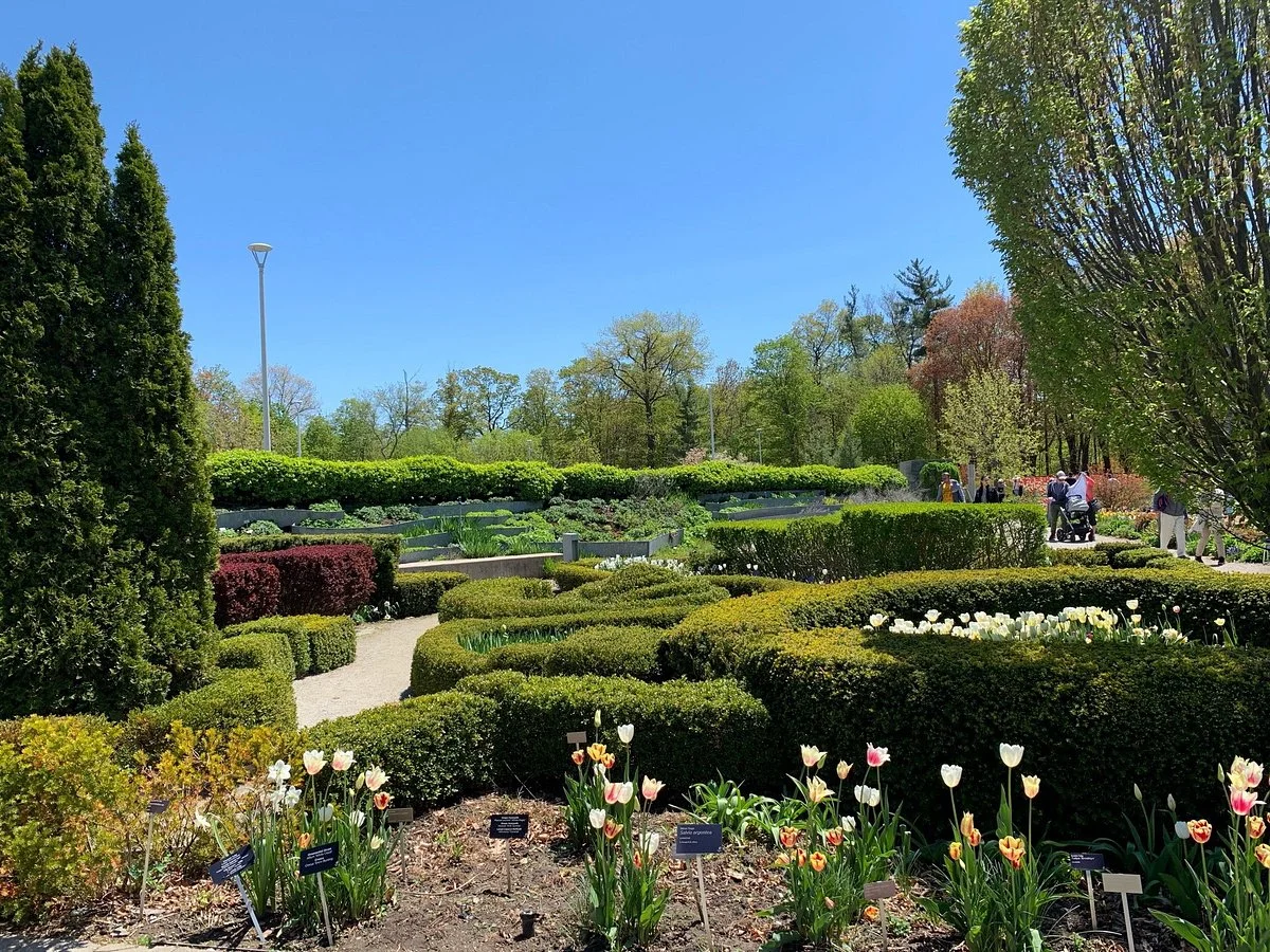 Toronto Botanical Garden