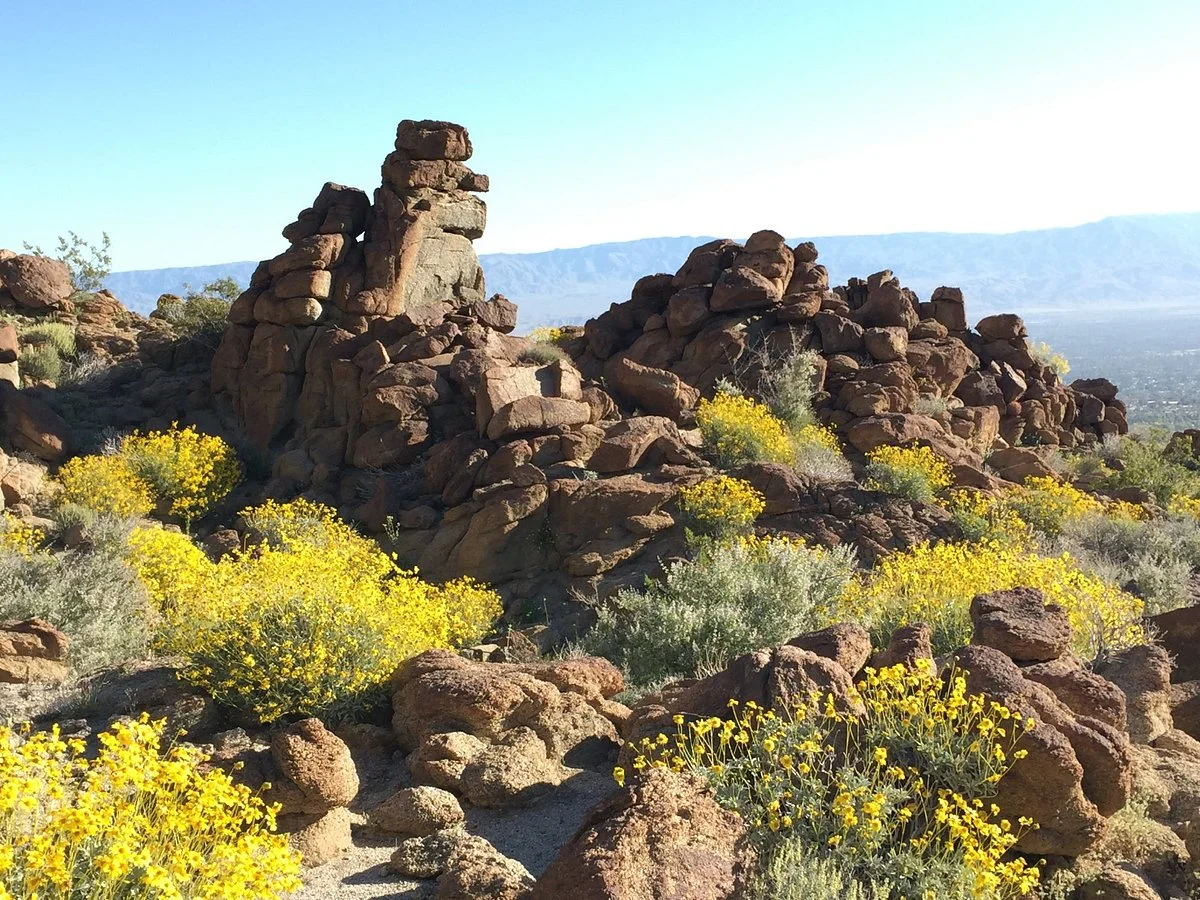 Art Smith Trail