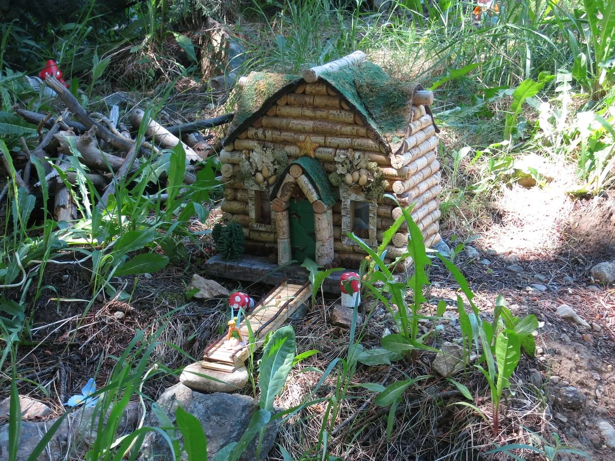 Fairy Forest