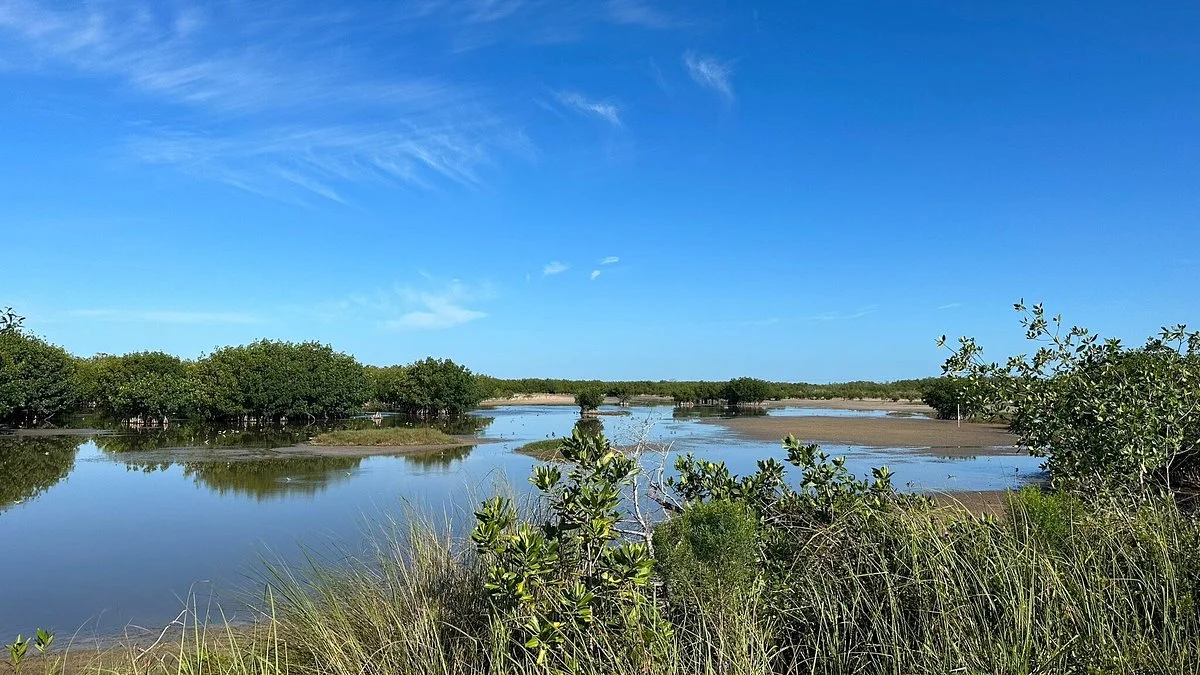Ten Thousand Islands  National Wildlife Refuge