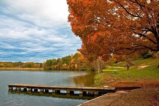 David Crockett State Park