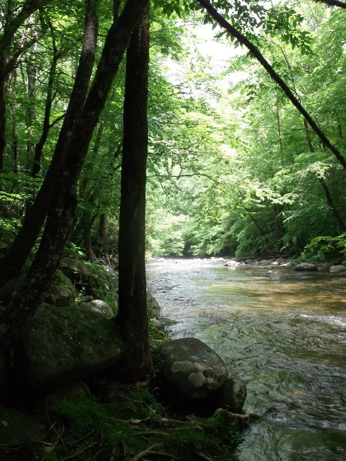 Sugarlands Valley Nature Trail