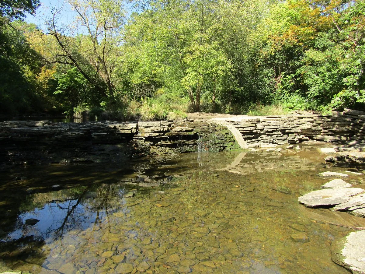 Waterfall Glen Forest Preserve