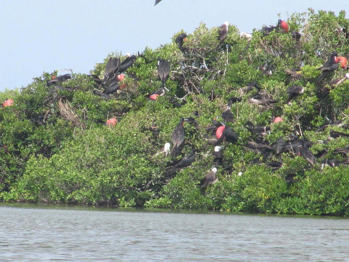 Codrington Lagoon National Park