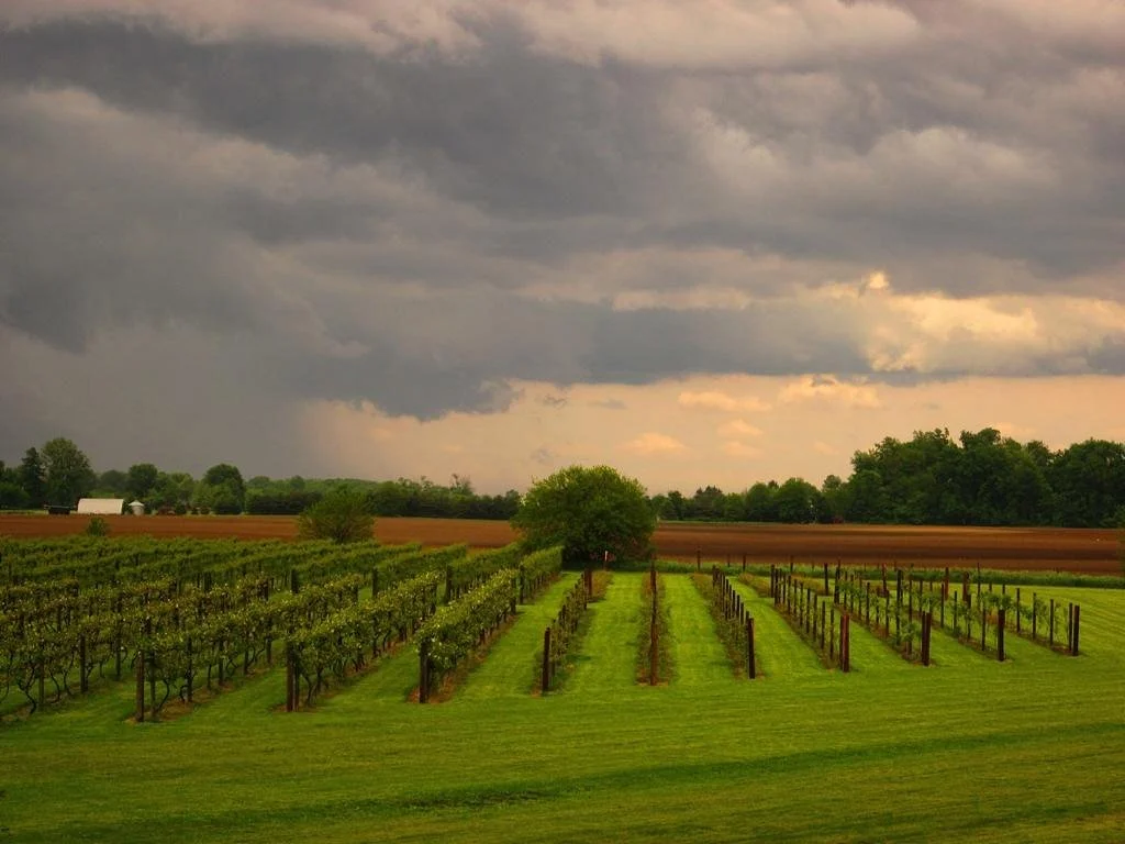 Country Moon Winery
