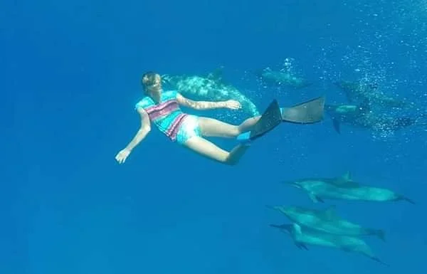 Kealakekua Bay Marine Preserve