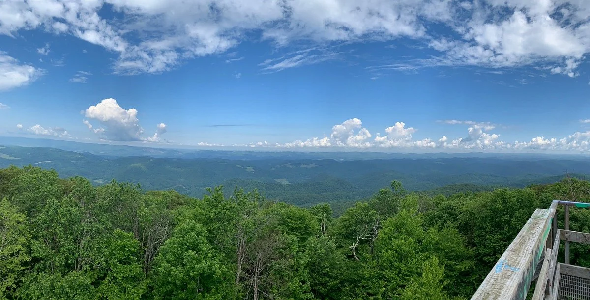 Bickel Knob Observation Tower