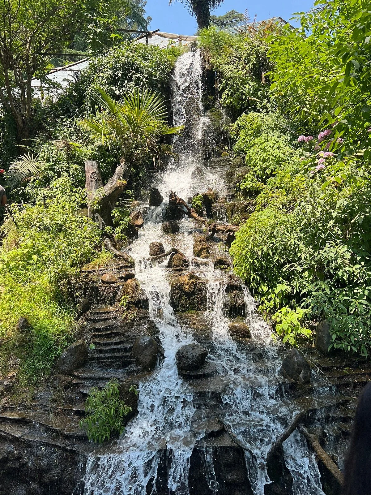 Company Garden