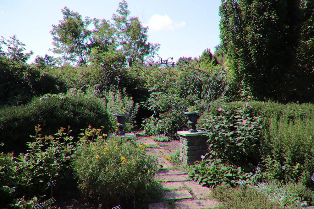 Luthy Botanical Garden