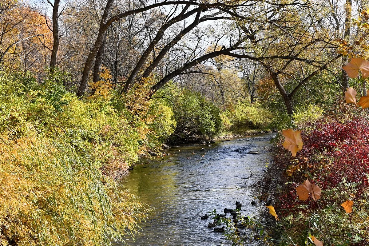 Paint Creek Trail