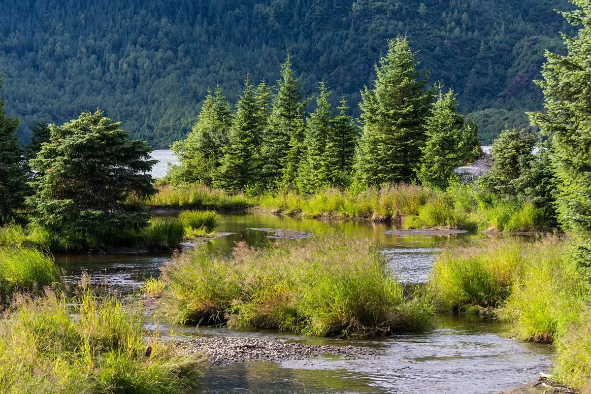 Steep Creek