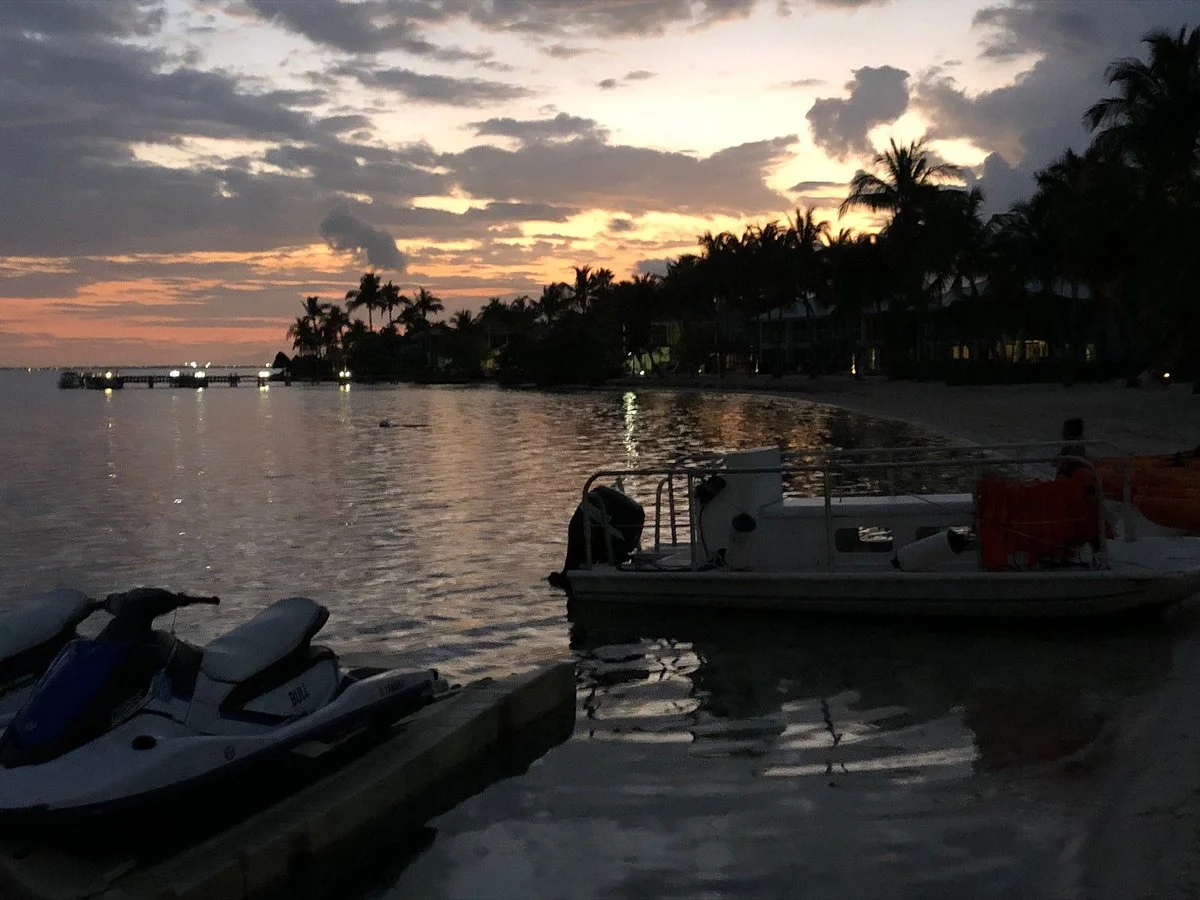 Bioluminescent Bay