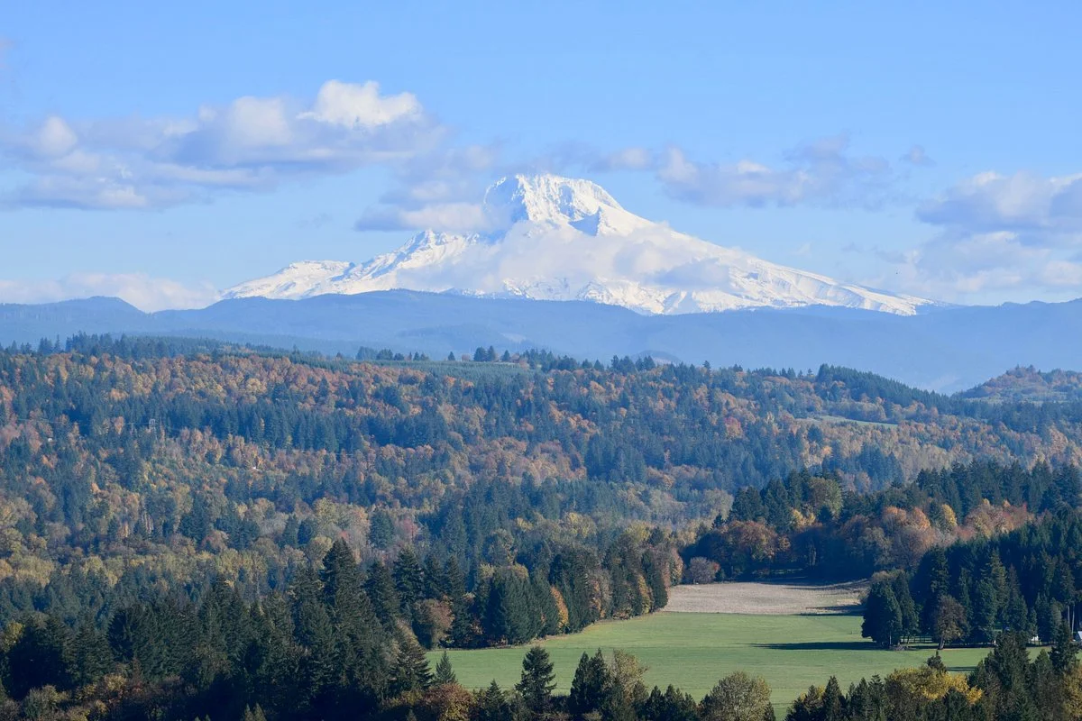 Jonsrud Viewpoint