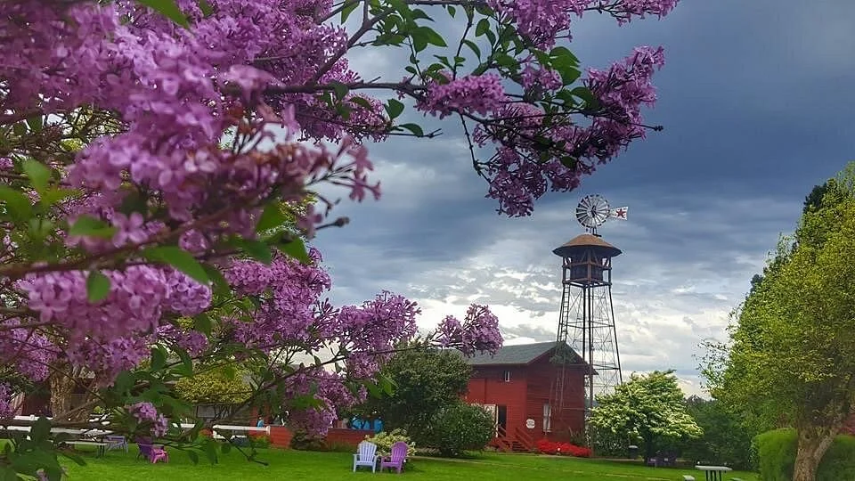 Hulda Klager Lilac Gardens
