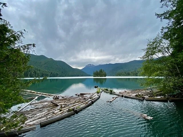 Packwood Lake Trail