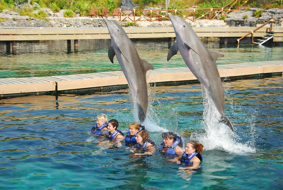 Delphinus Riviera Maya