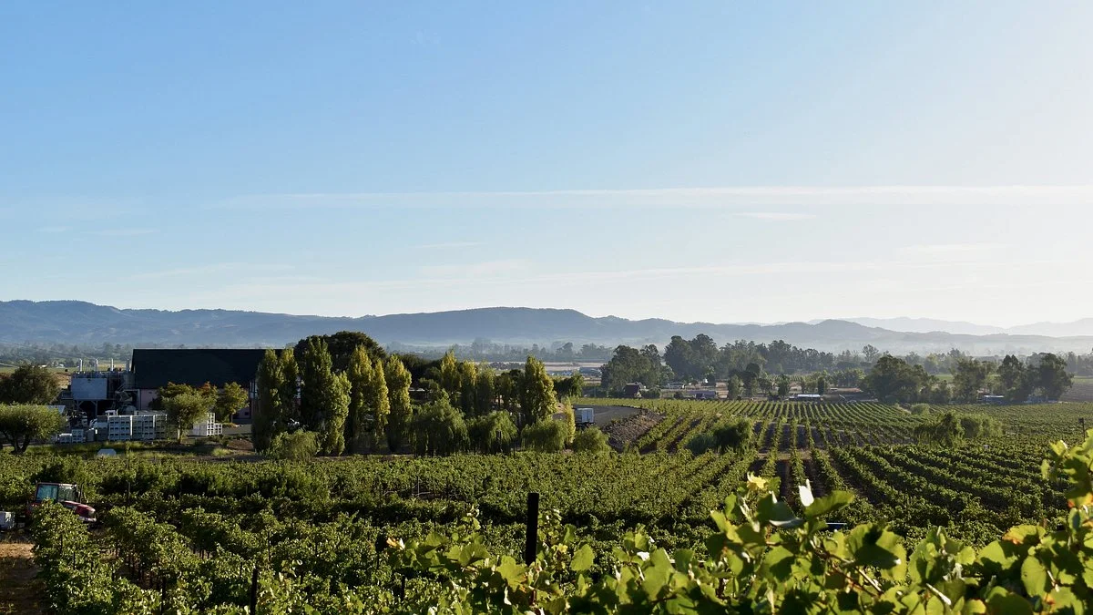 Schug Winery