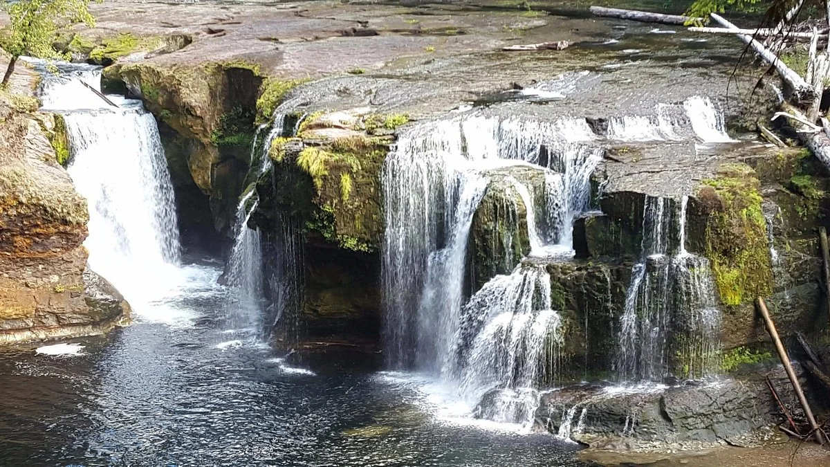 Gifford Pinchot National Forest
