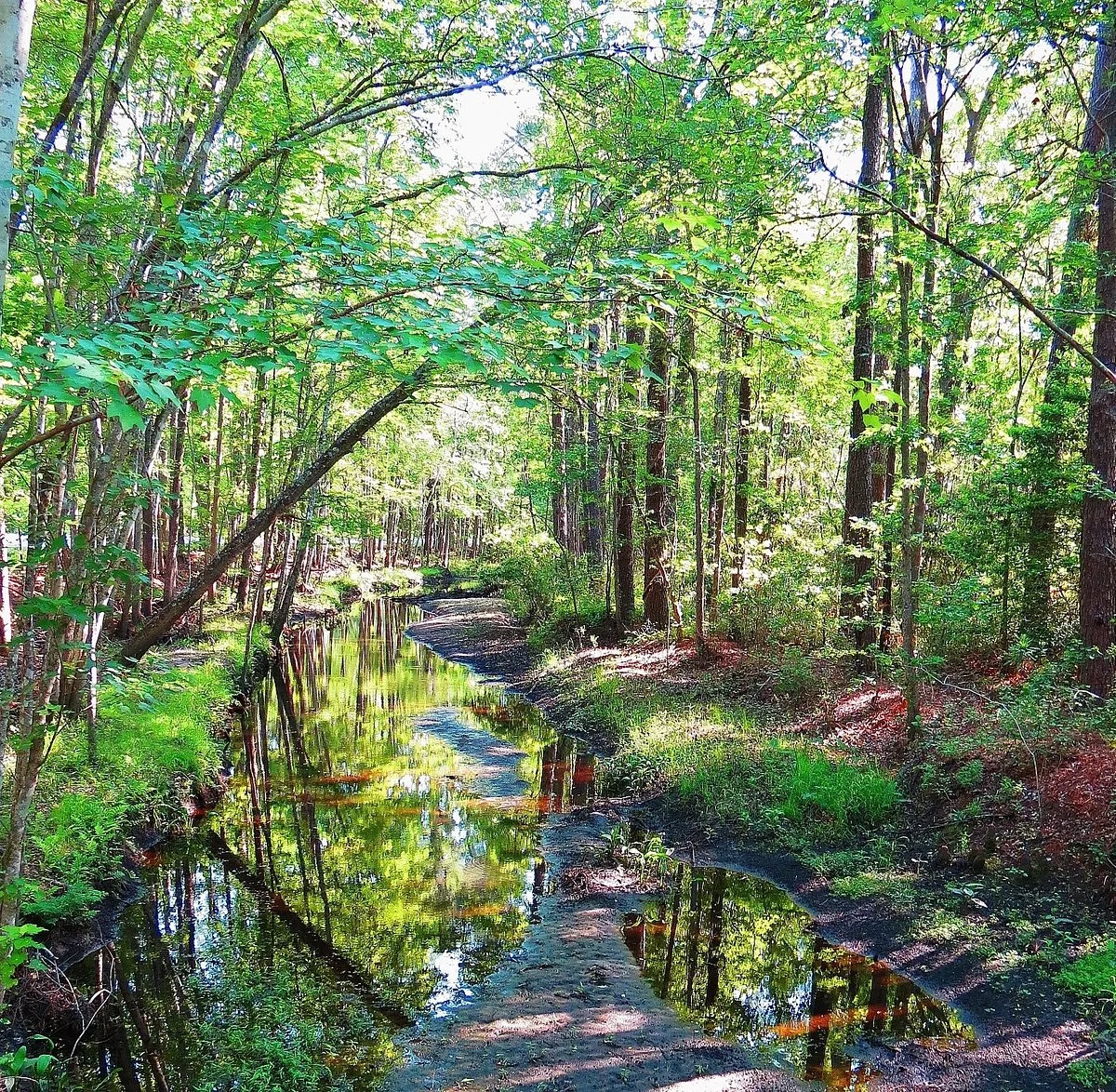 Walterboro Wildlife Sanctuary