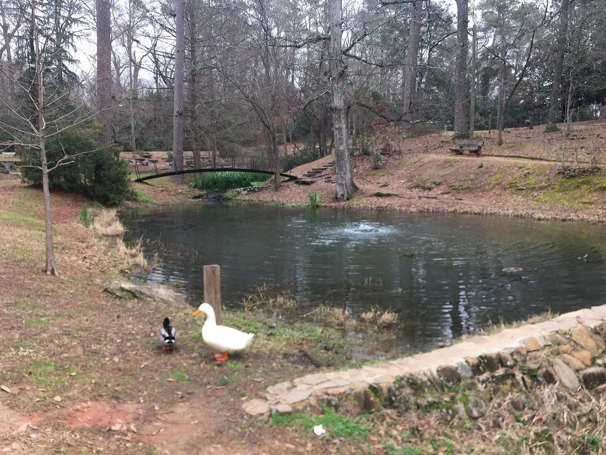 Academy Springs Park