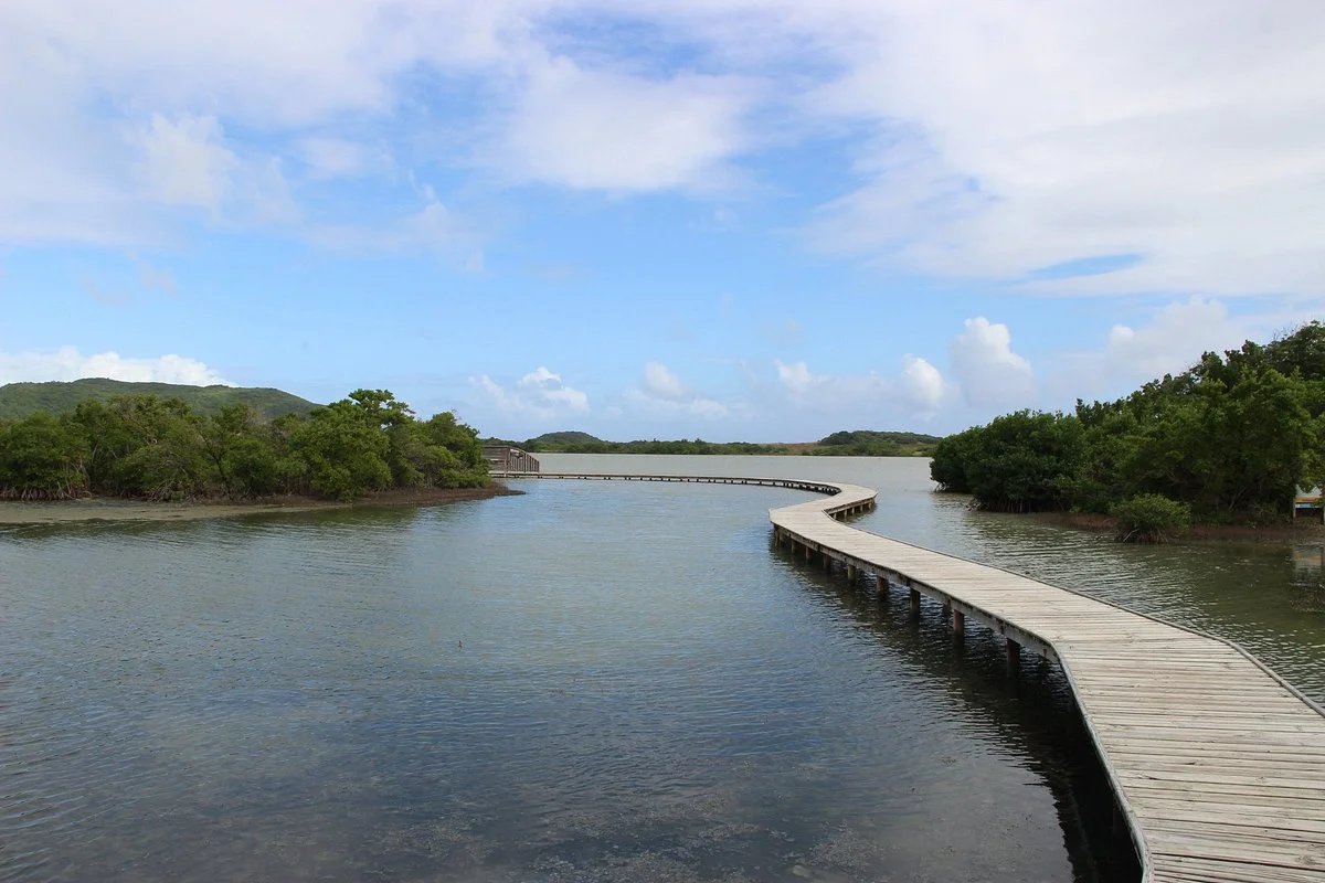 Etang des Salines