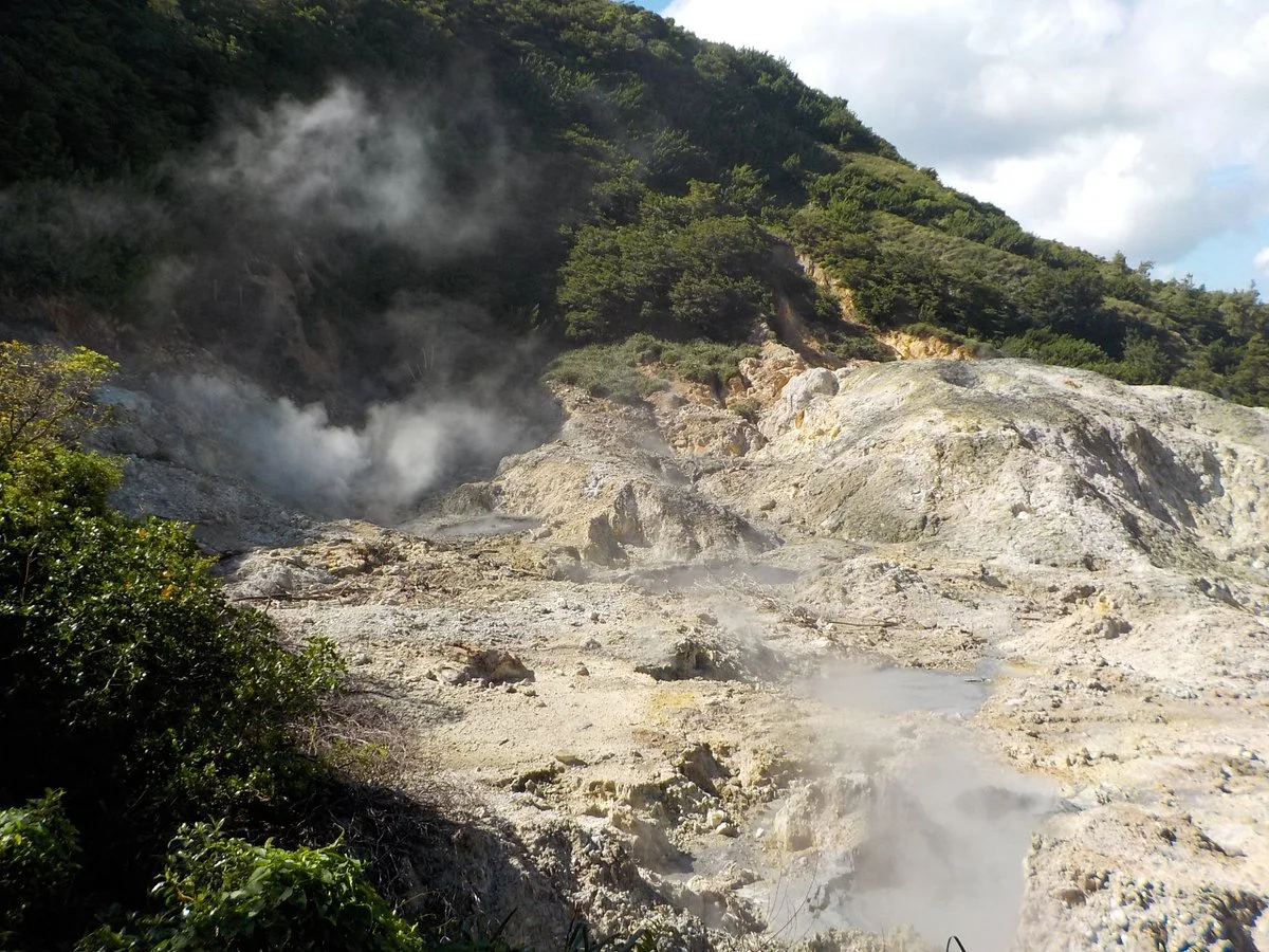 Soufriere Marine Management Area