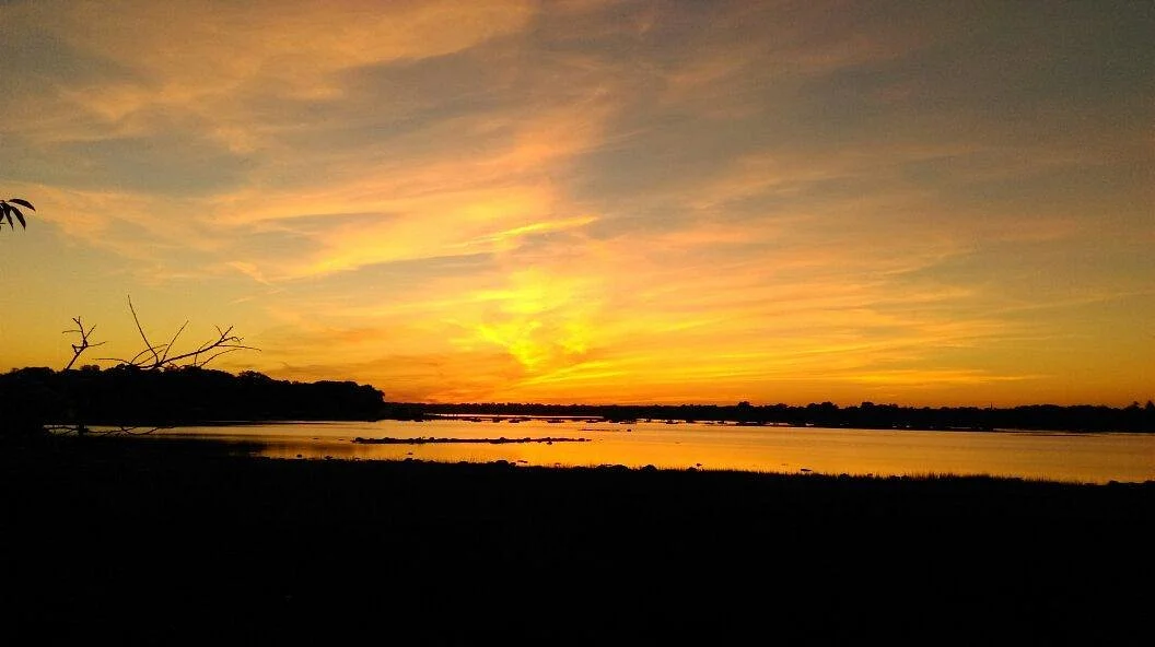 Greenwich Point Park