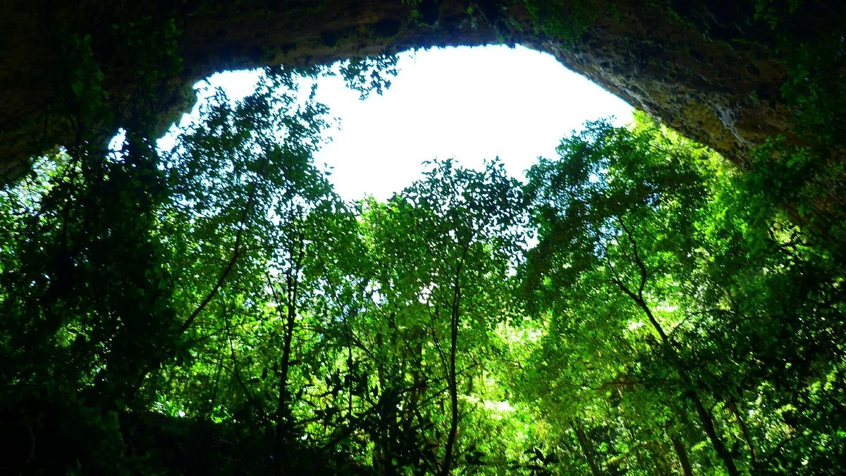 Clara Cave (Cueva Clara)