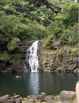 Waimea Arboretum and Botanical Garden