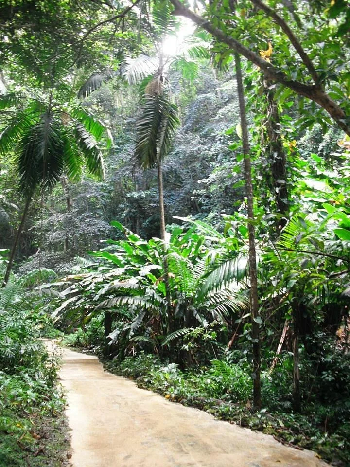Welchman Hall Gully