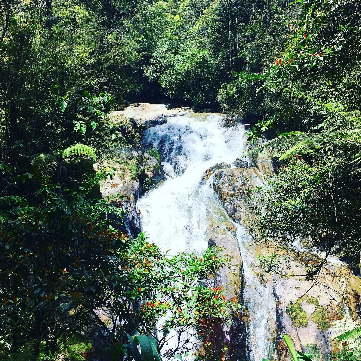 Robinson Falls