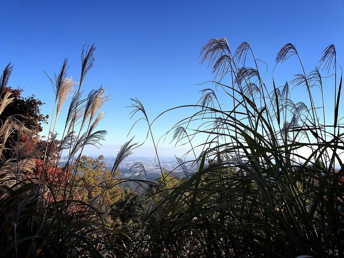 Mt. Takaosan Hiking Course