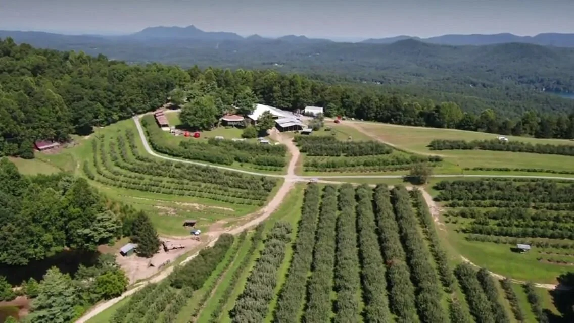 Sky Top Orchard