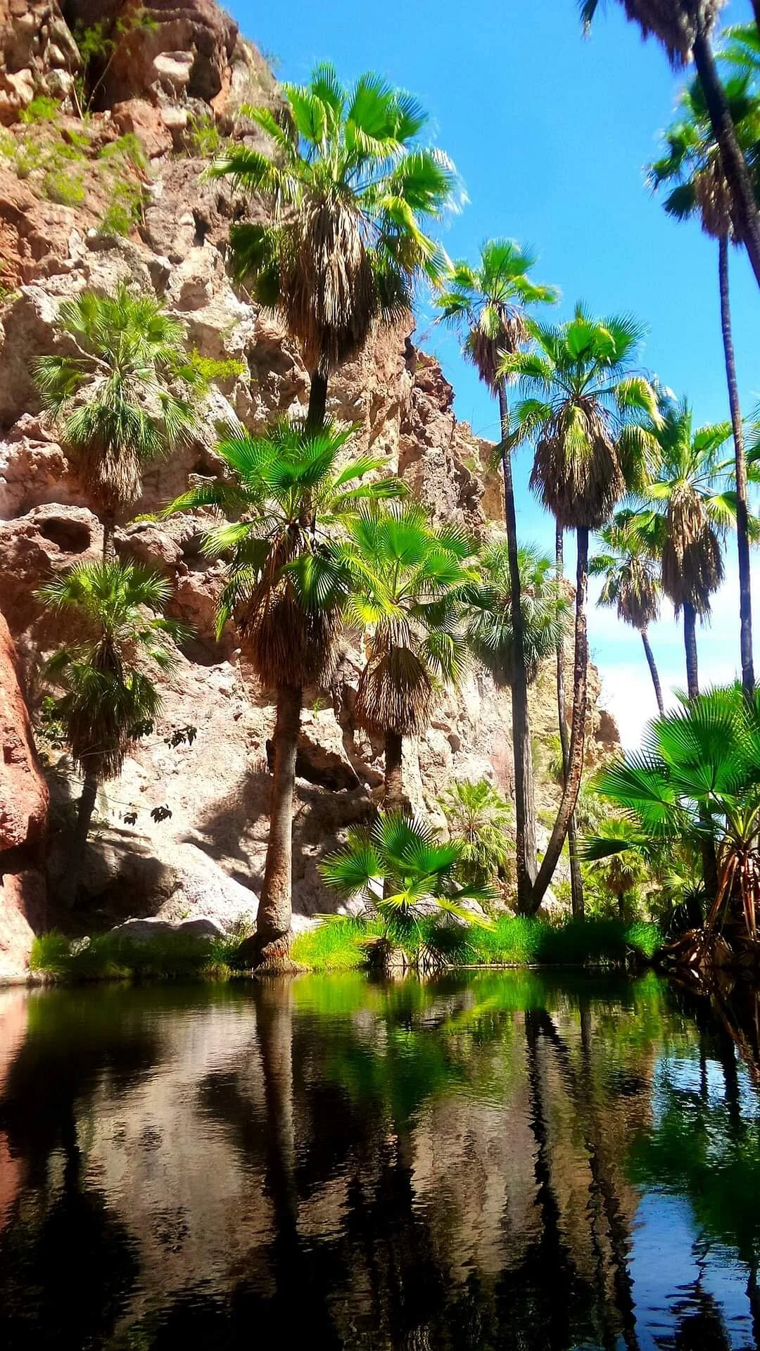 Cañón La Poza Manantial