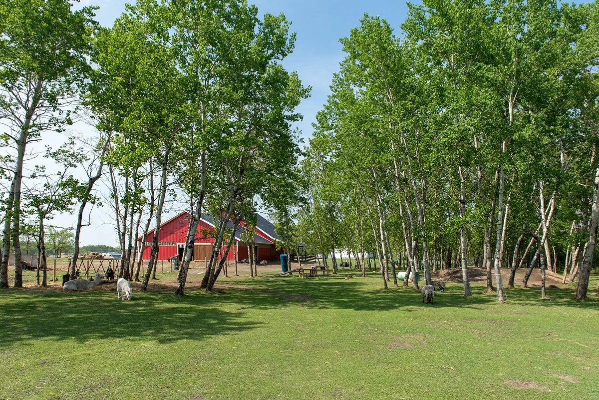 Kismet Creek Farm