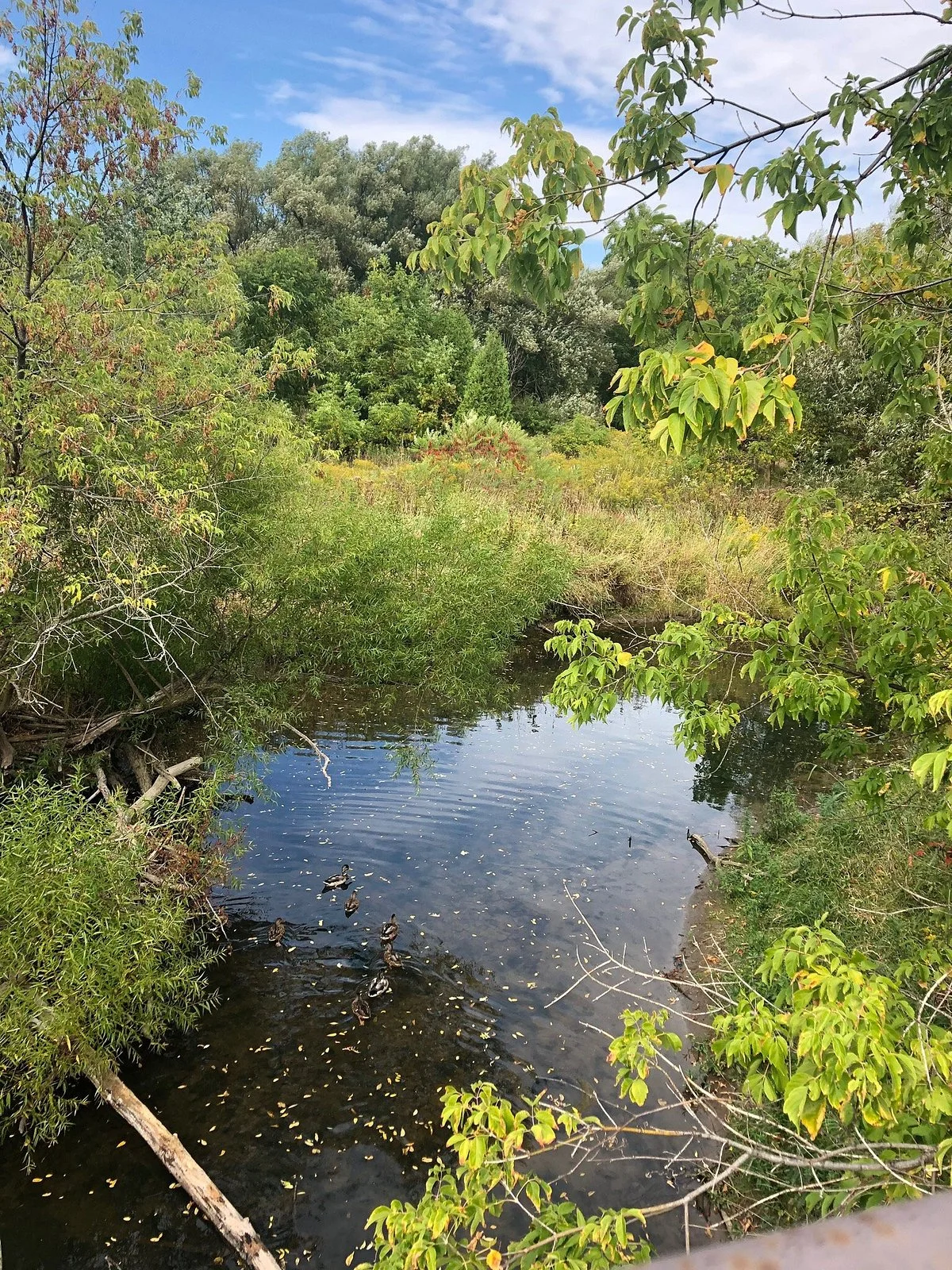 Etobicoke Creek Trail