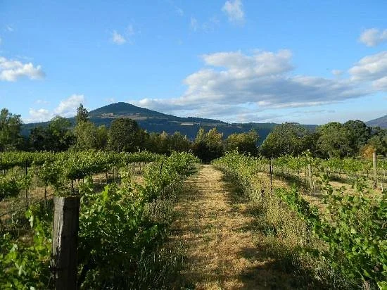 Cathedral Ridge Winery
