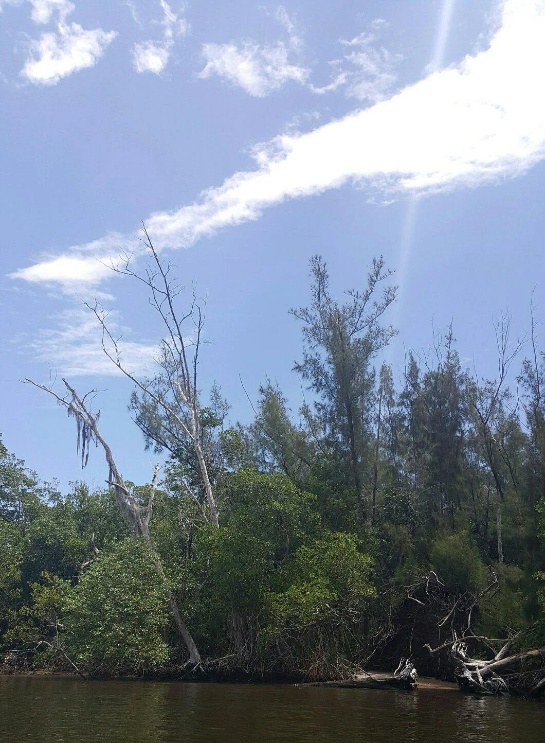 St. Lucie Inlet