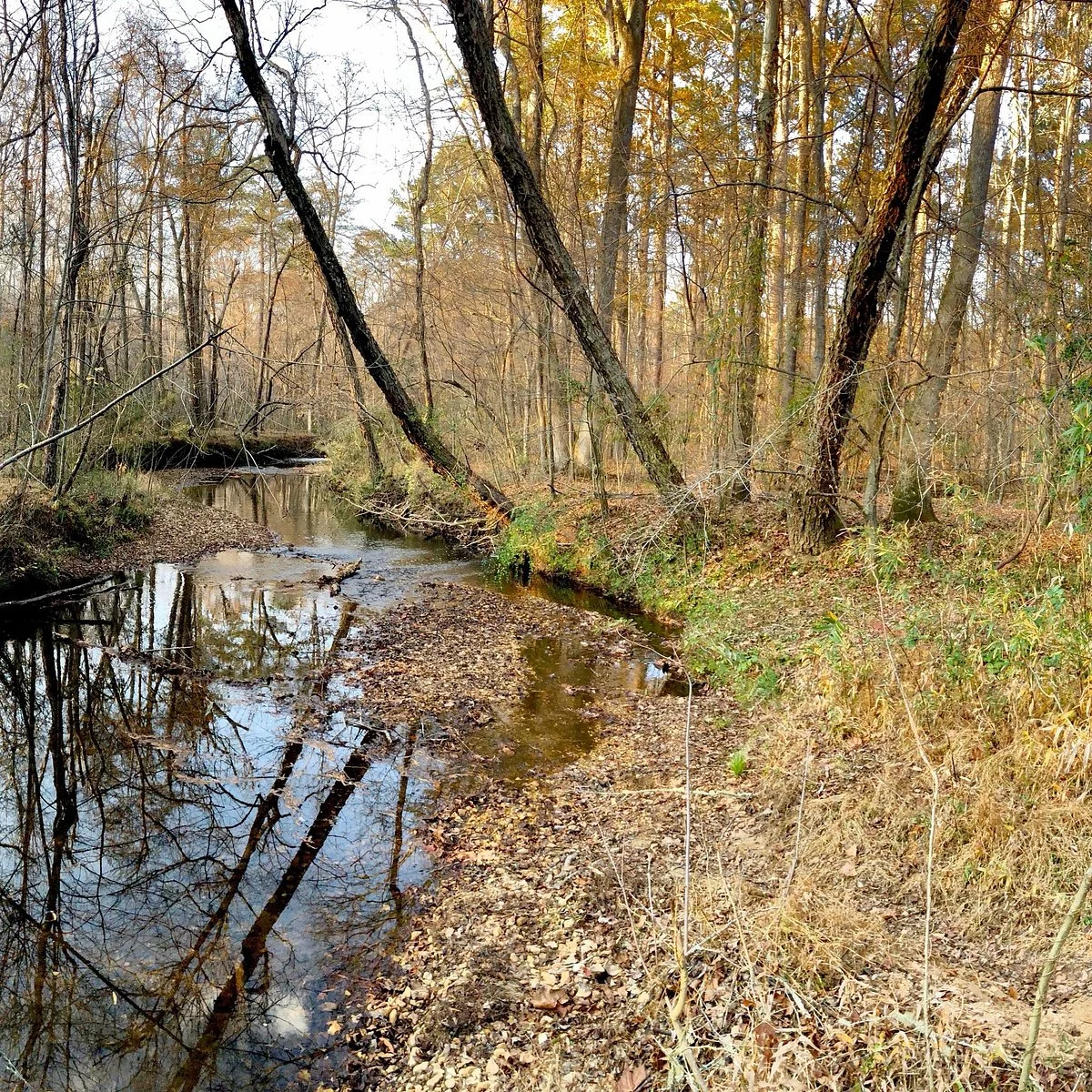 The Blankets Creek Trail System