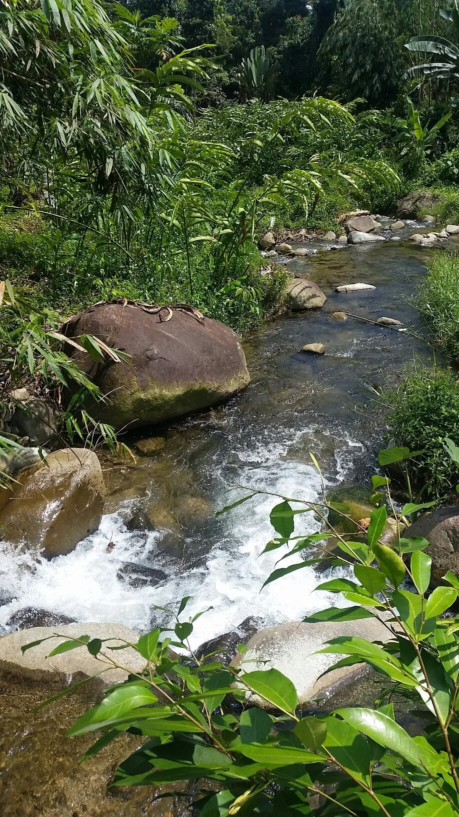 Lepoh Waterfalls