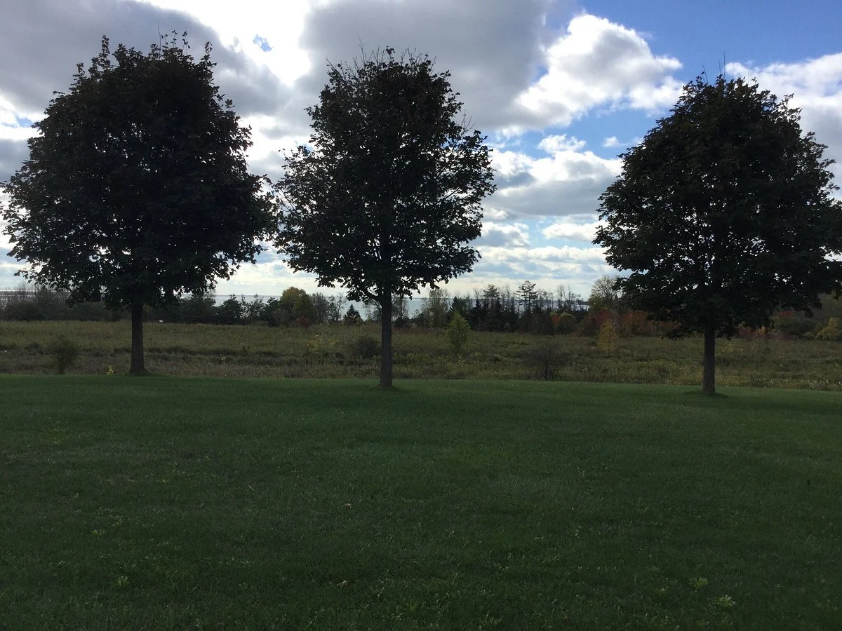 Intrepid Park
