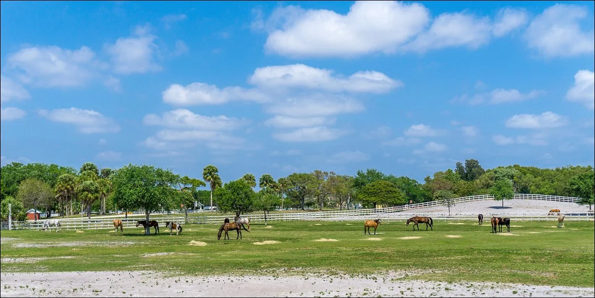 Tradewinds Park & Stables