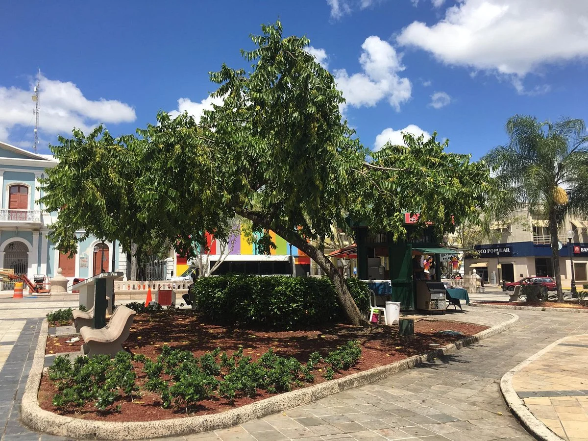 Plaza Palmer