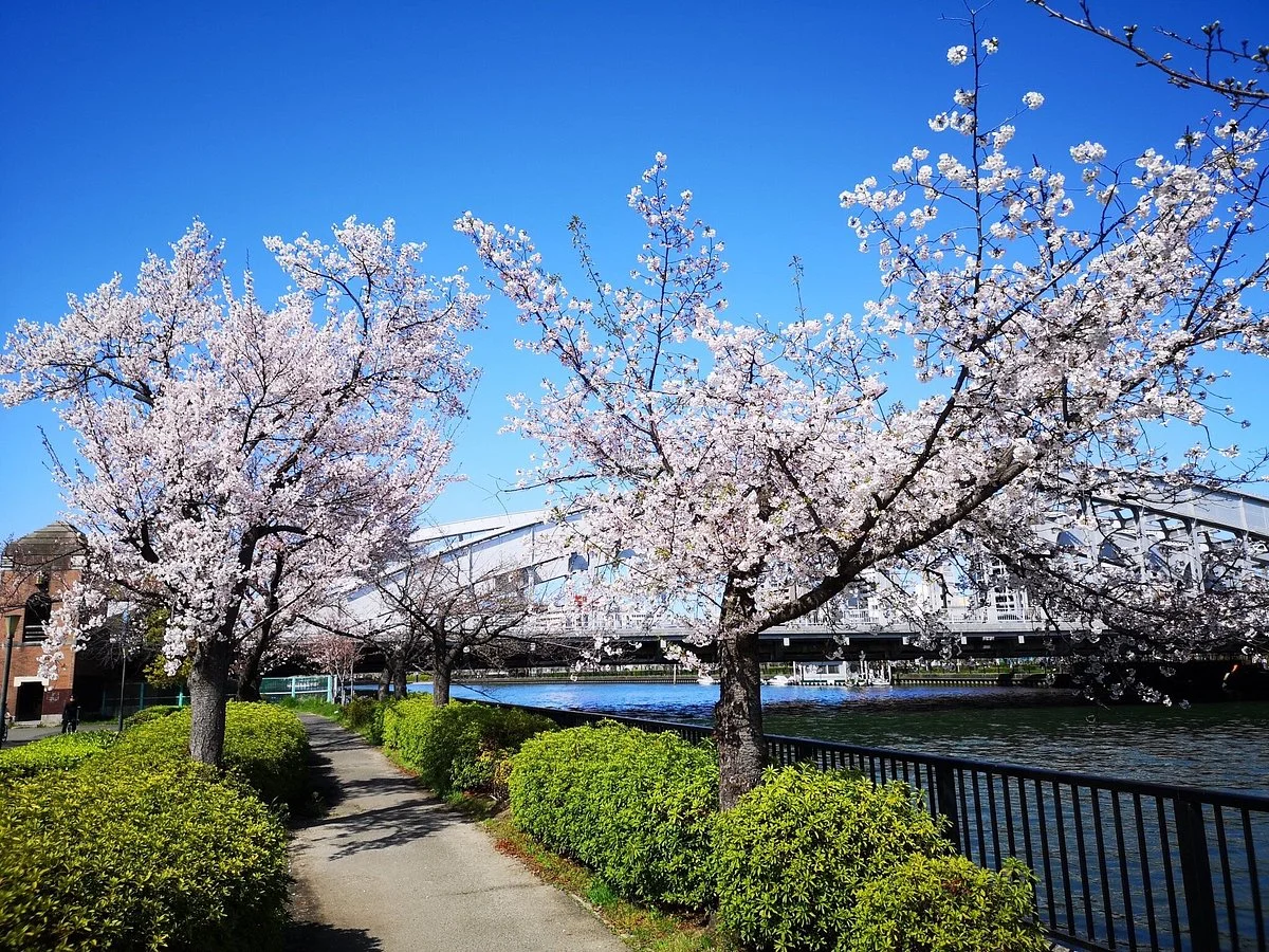 Kemasakuranomiya Park