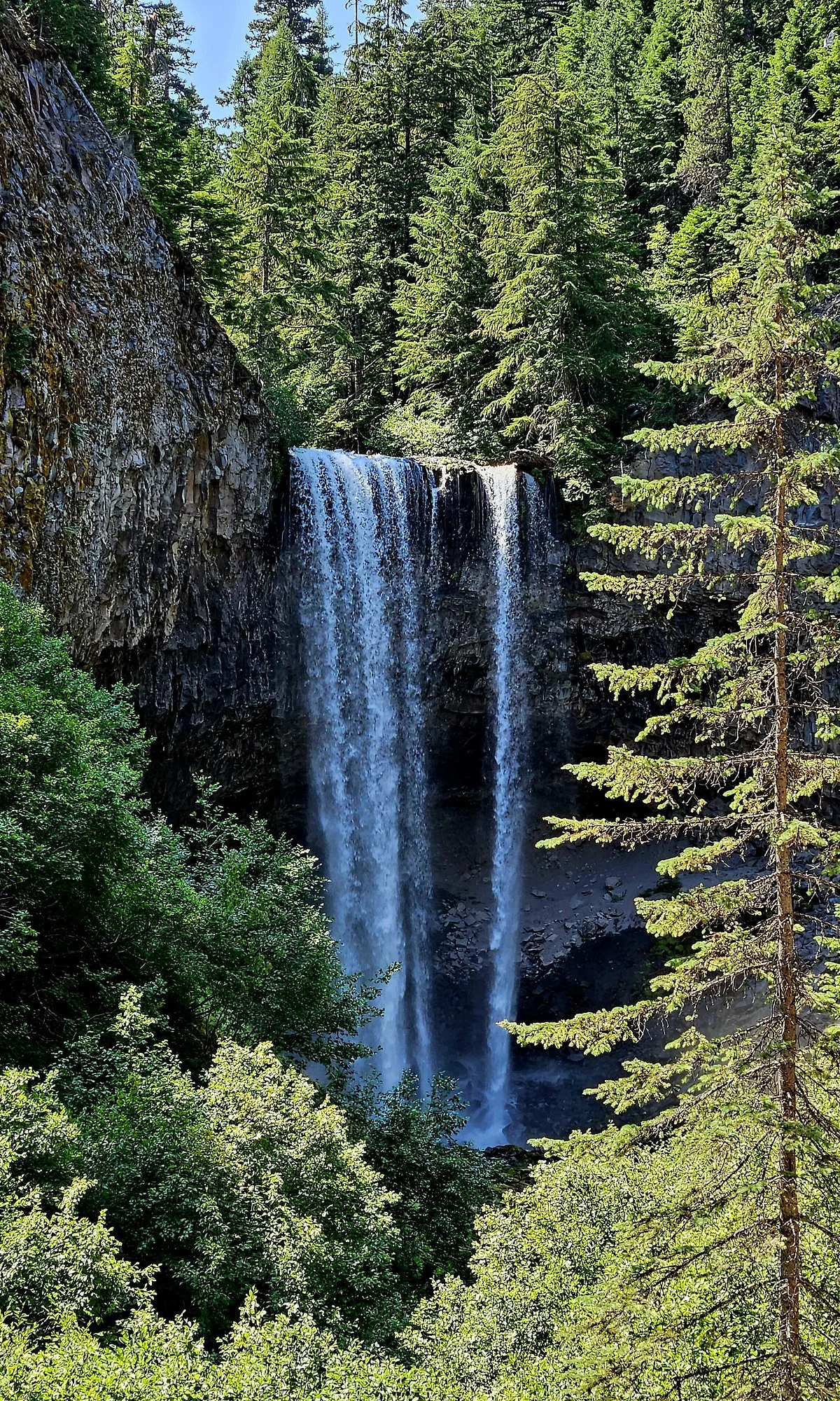 Tamanawas Falls Trail