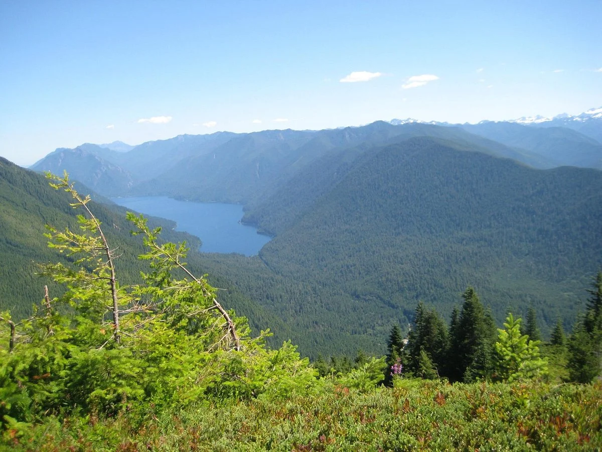 Olympic Peninsula