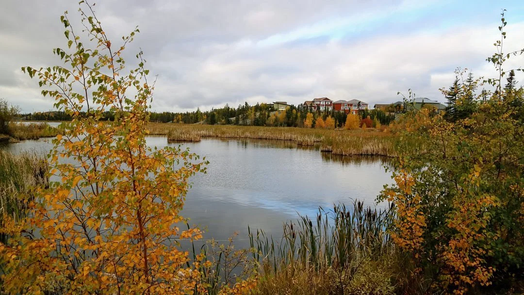 Niven Lake Trail