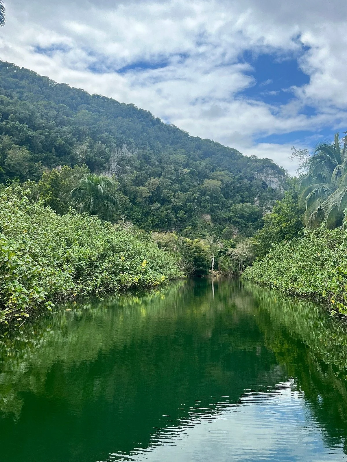 Guajataca Forest Reserve