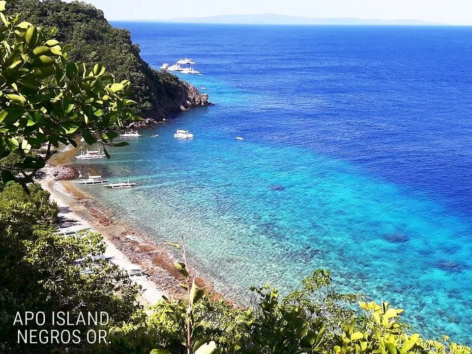 Apo Island Marine Reserve
